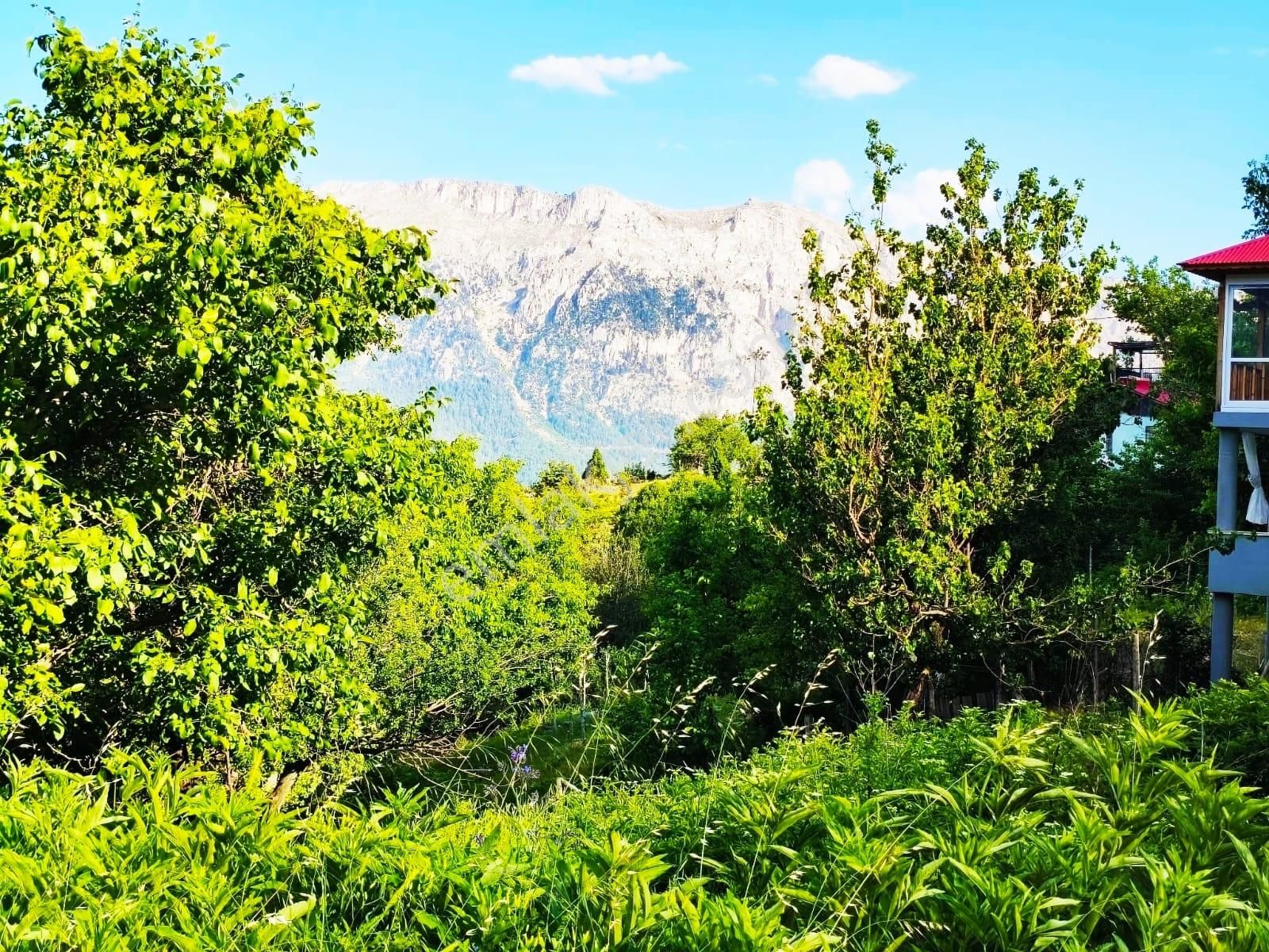 Pozantı Kar Emlaktan Akçatekir Eski Köyde 380 M2 Arsa