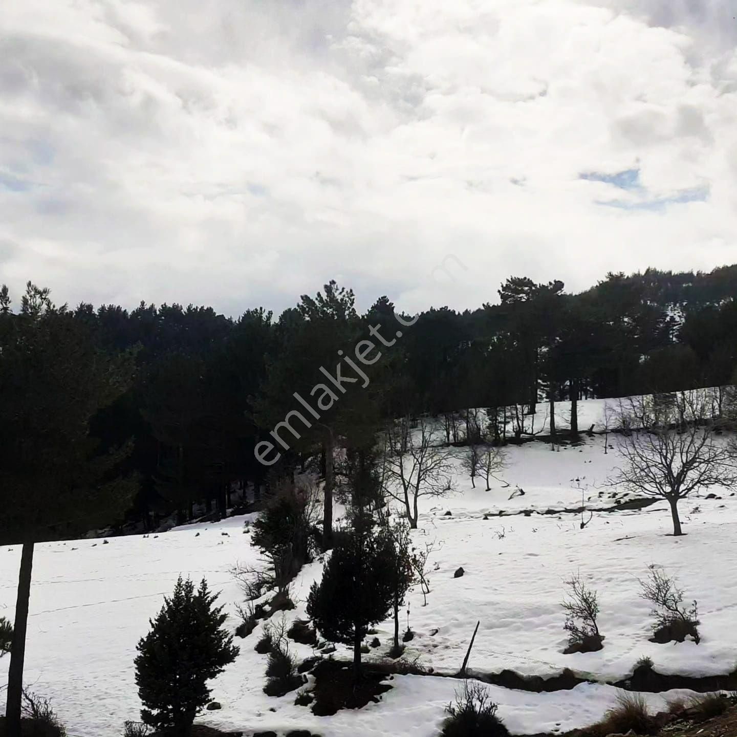 Pozantı Kar Emlaktan Yeni Konacık Körmenlik Mevkiinde 400 M2 Arsa - Görsel 8