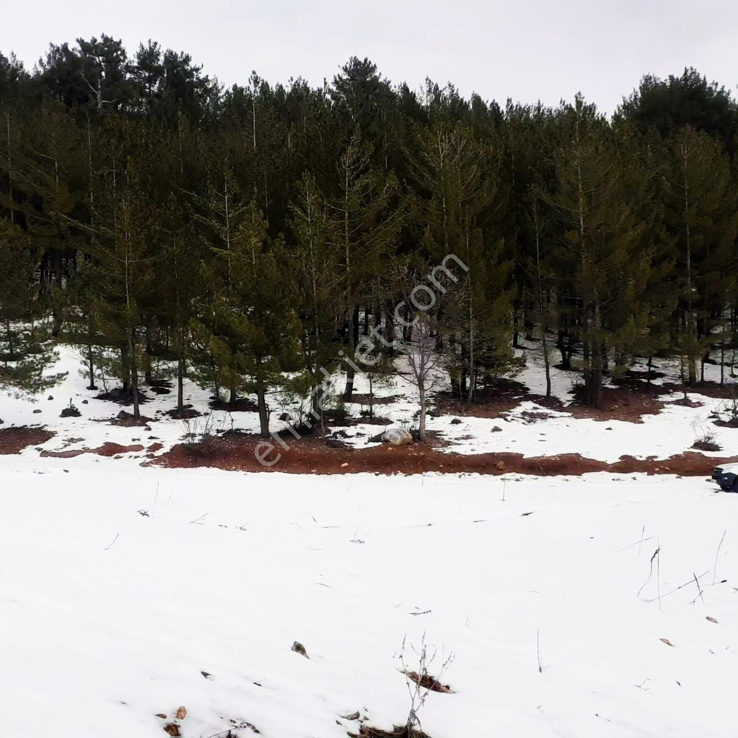 Pozantı Kar Emlaktan Yeni Konacık Körmenlik Mevkiinde 400 M2 Arsa - Görsel 17