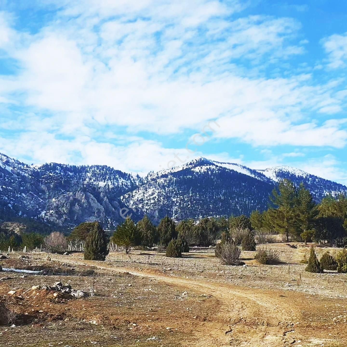 Pozantı Kar Emlaktan Alpu Yaylasında 480 M2 Arsa - Görsel 2