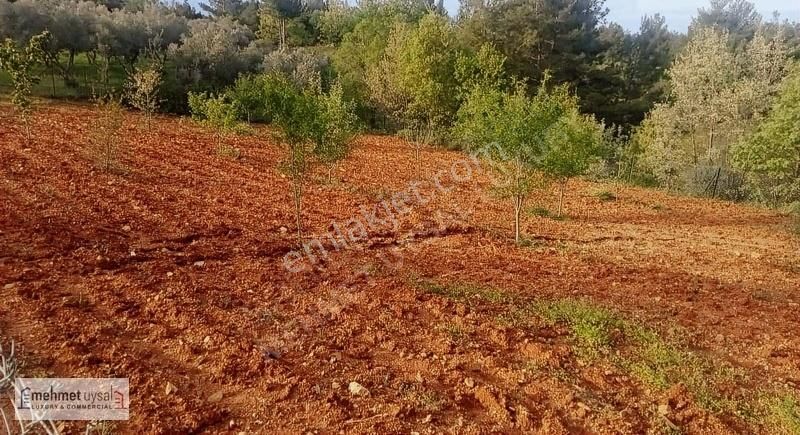 Muğla Menteşe Yerkesik'te Satılık 1.078 M² Tarla