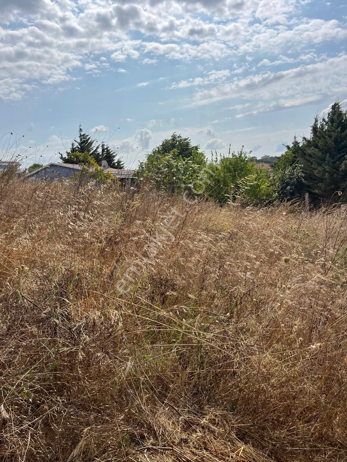 Çatalcada Satılık Arsa - Görsel 5