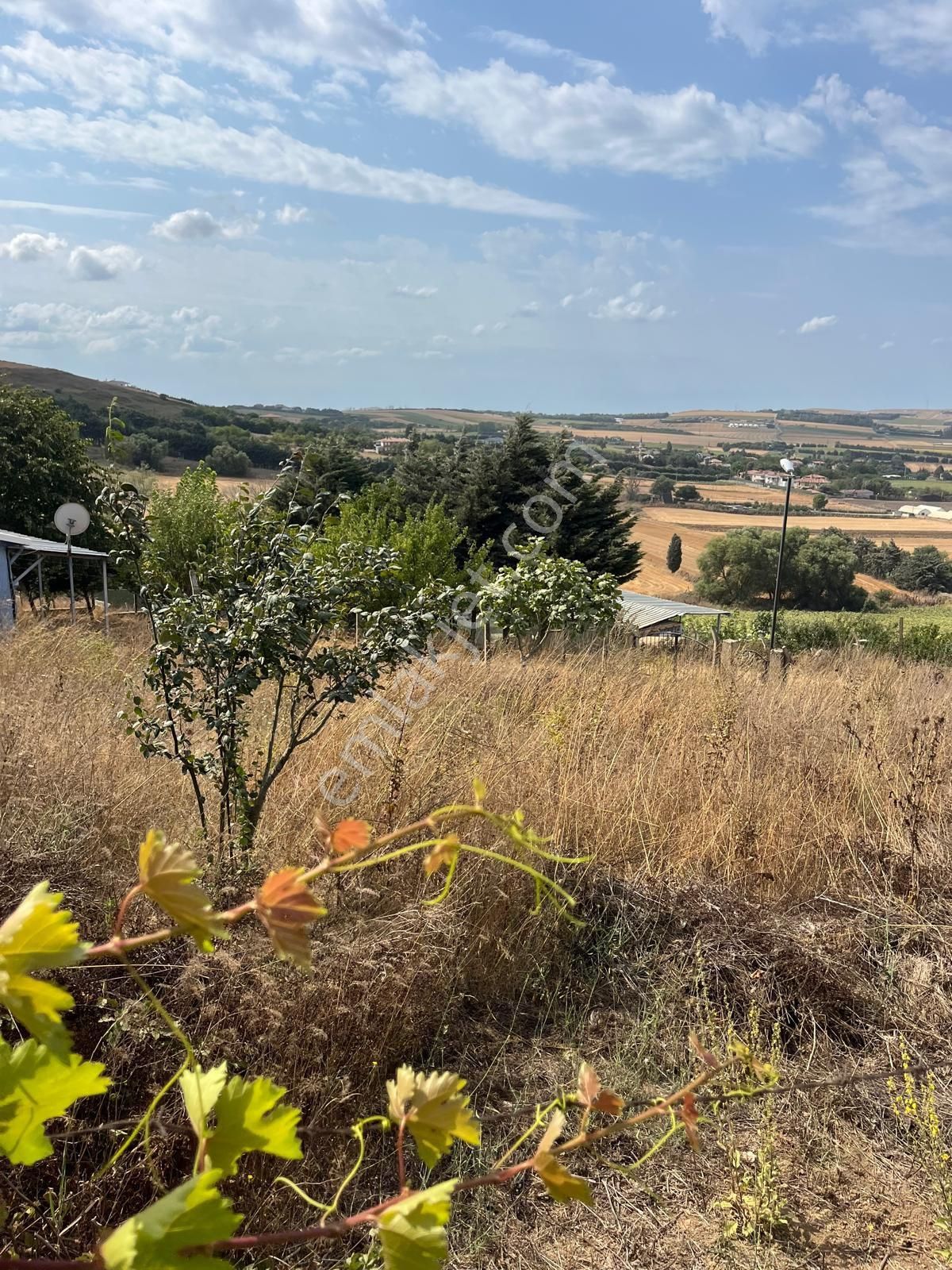 Çatalcada Satılık Arsa - Görsel 13