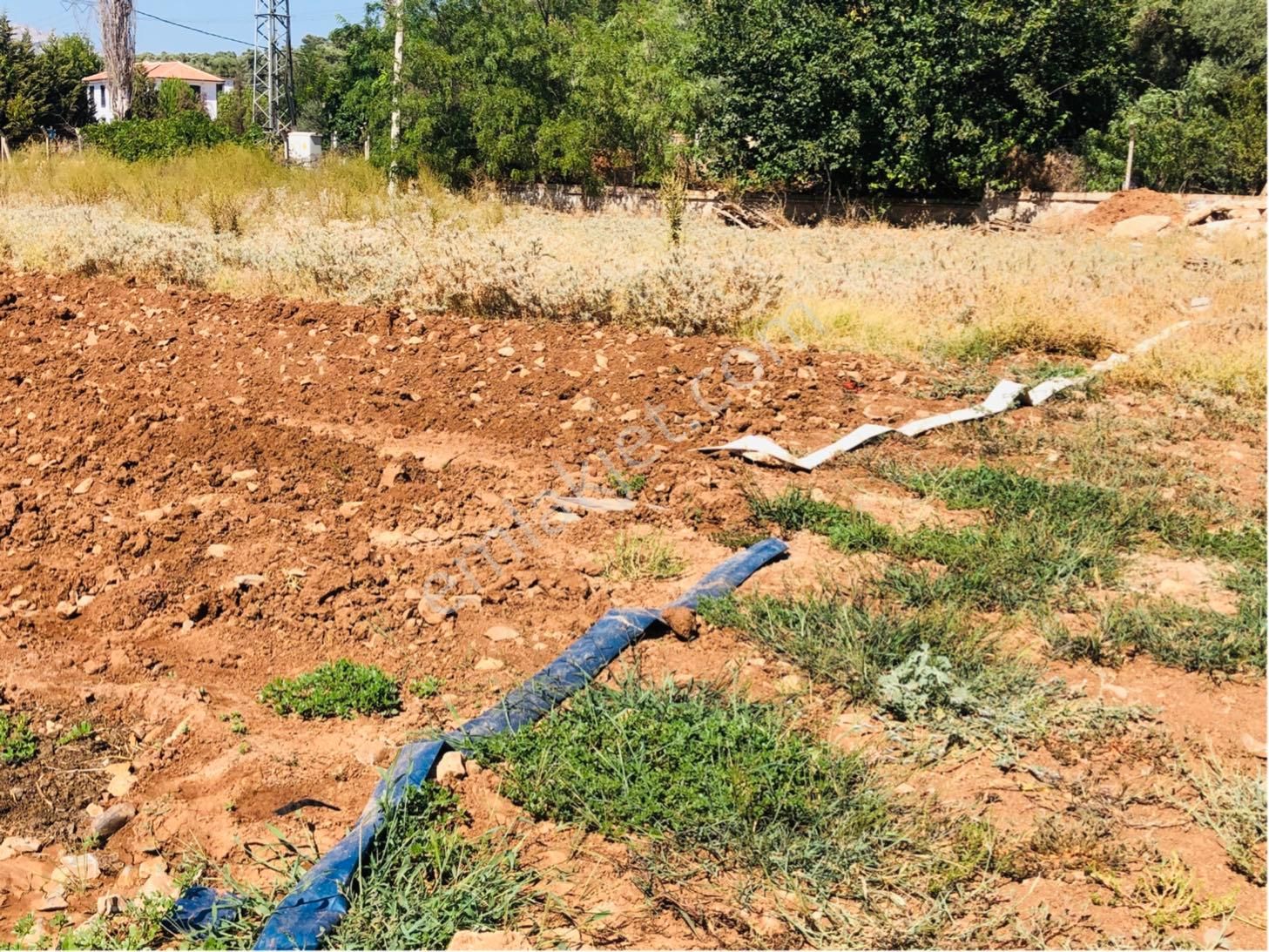 Muğla Milas Beçin Mutluca'da Muhteşem Yatırımlık Arsa!! - Görsel 25