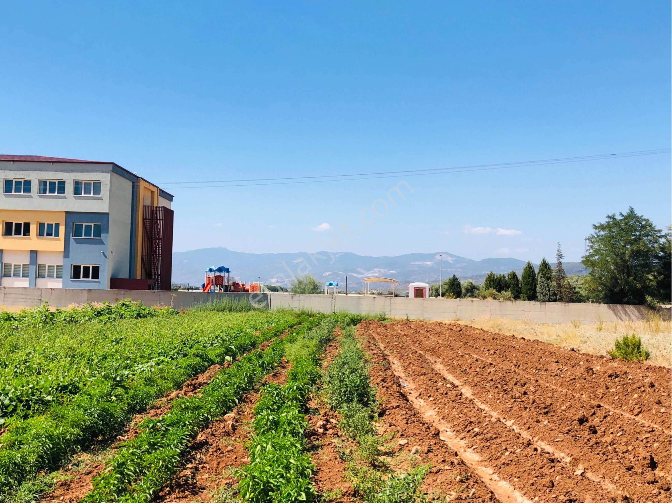 Muğla Milas Beçin Mutluca'da Muhteşem Yatırımlık Arsa!! - Görsel 14