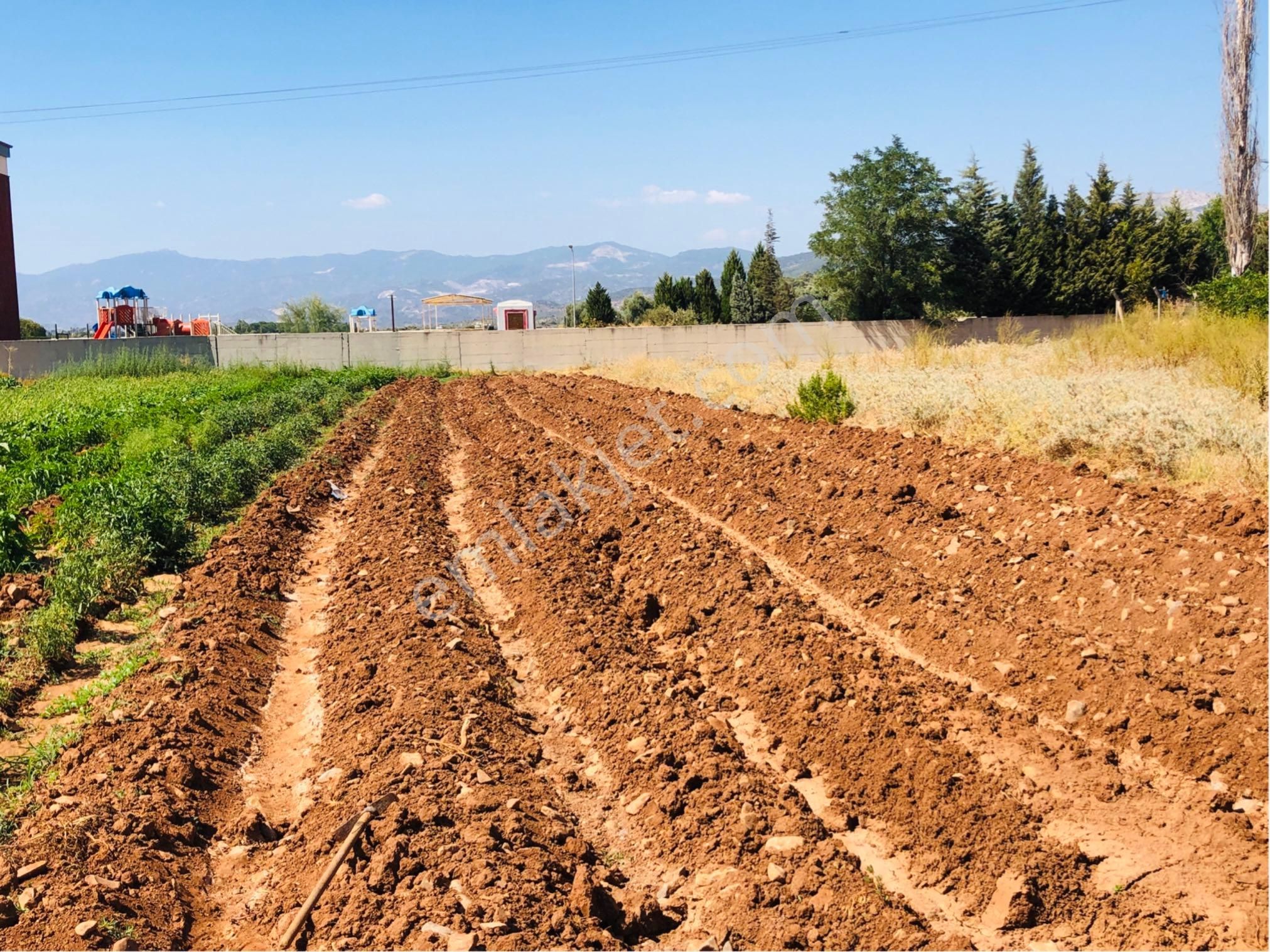 Muğla Milas Beçin Mutluca'da Muhteşem Yatırımlık Arsa!! - Görsel 23