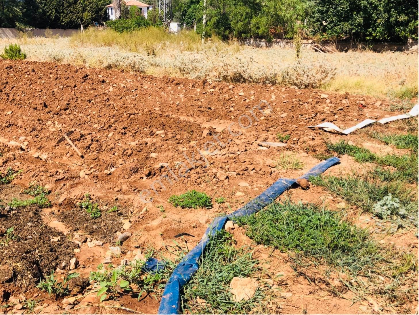 Muğla Milas Beçin Mutluca'da Muhteşem Yatırımlık Arsa!! - Görsel 26