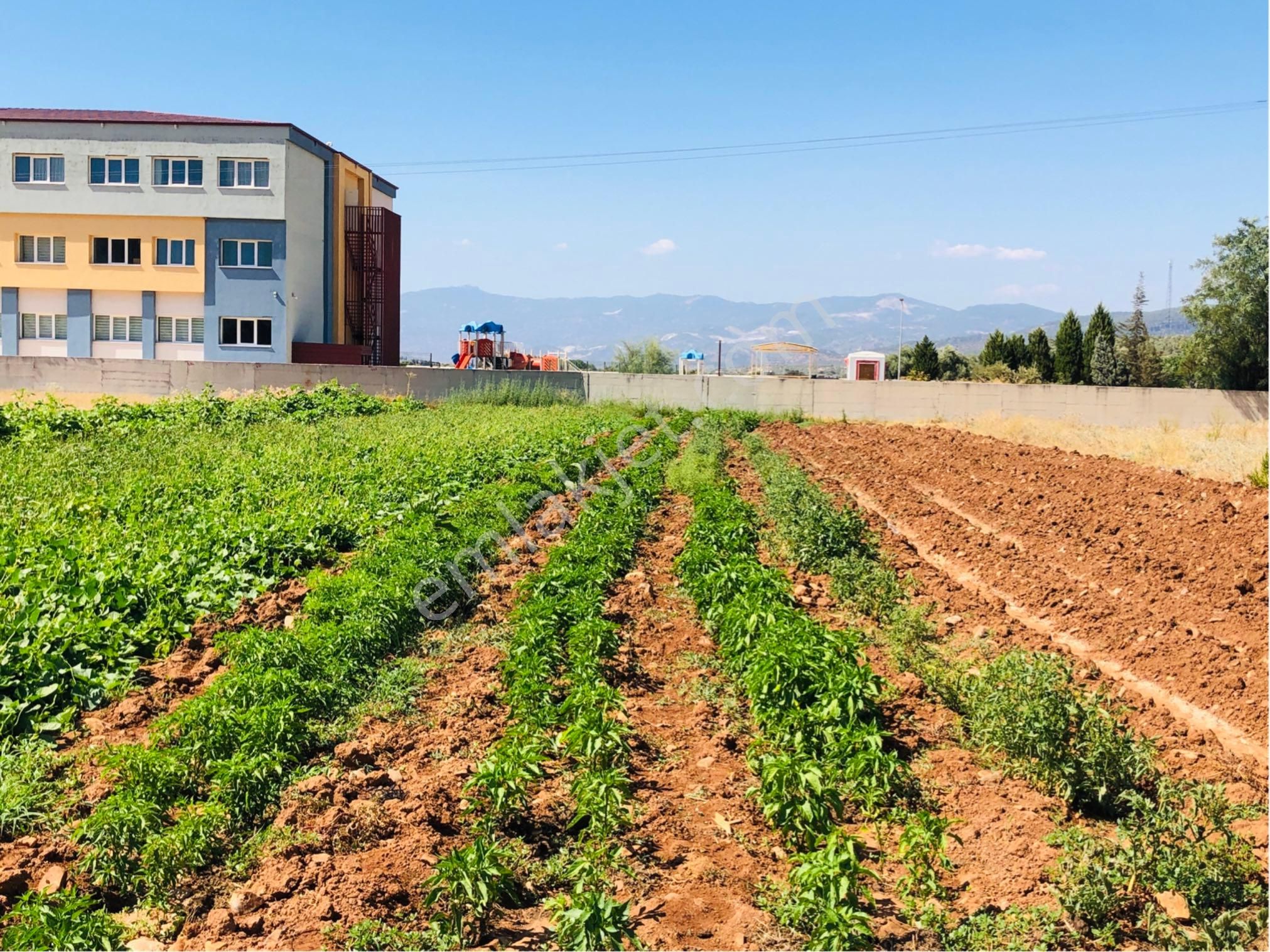 Muğla Milas Beçin Mutluca'da Muhteşem Yatırımlık Arsa!! - Görsel 7