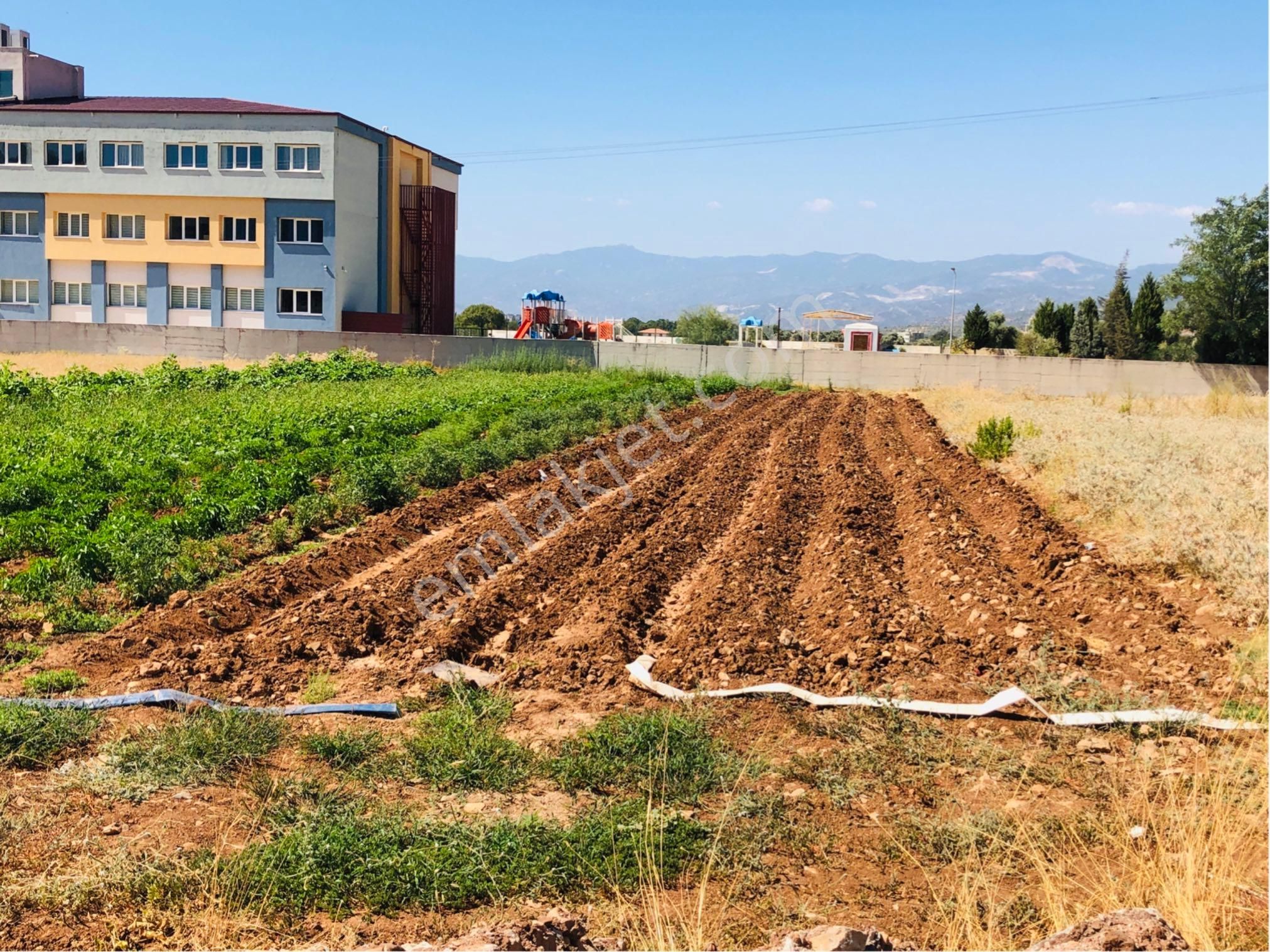 Muğla Milas Beçin Mutluca'da Muhteşem Yatırımlık Arsa!!