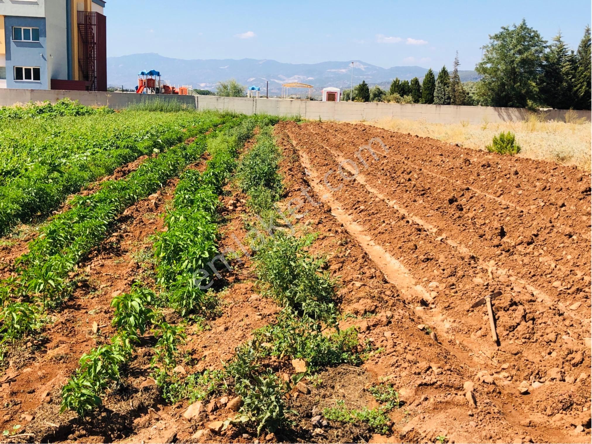 Muğla Milas Beçin Mutluca'da Muhteşem Yatırımlık Arsa!! - Görsel 24
