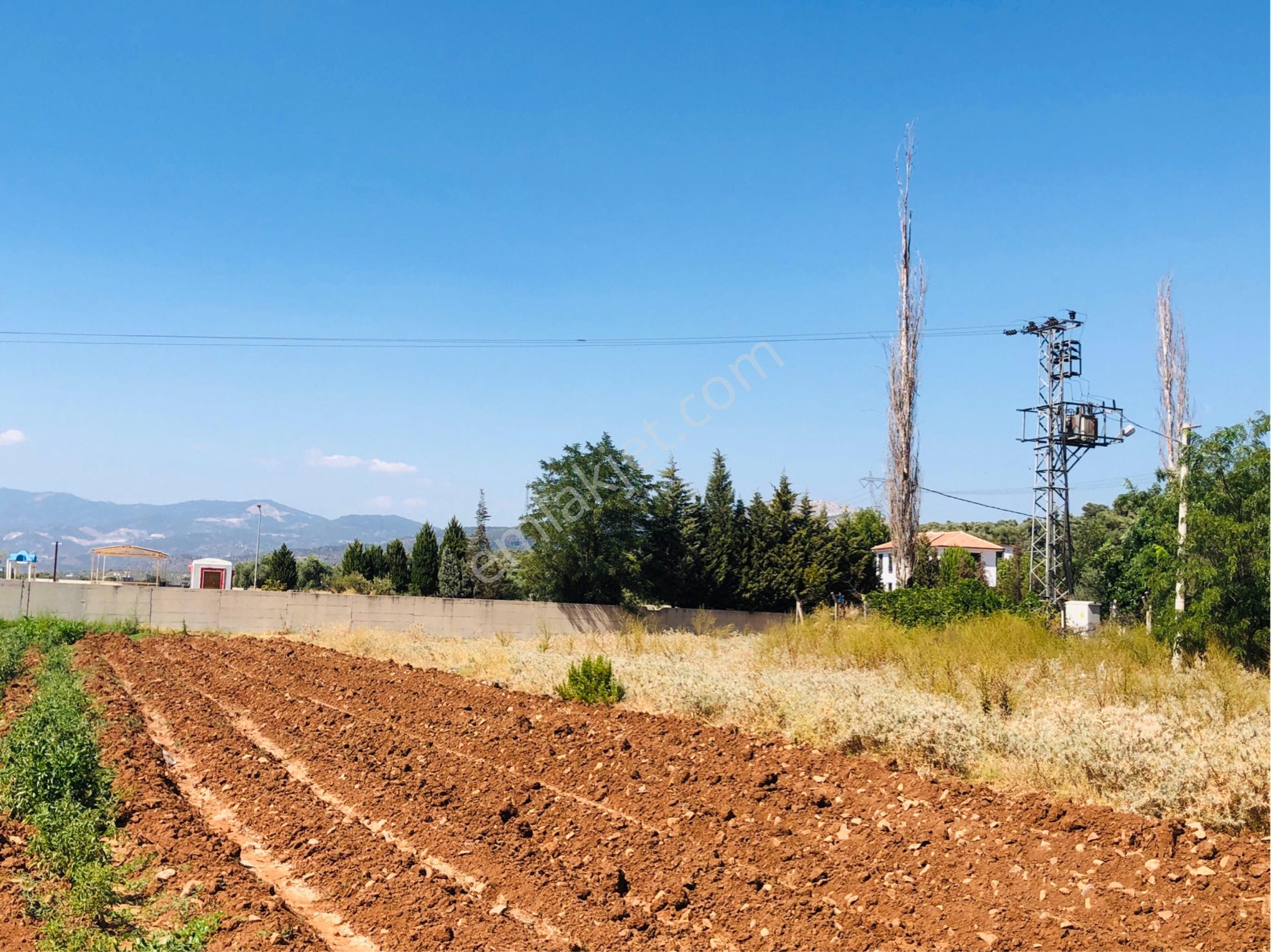 Muğla Milas Beçin Mutluca'da Muhteşem Yatırımlık Arsa!! - Görsel 11
