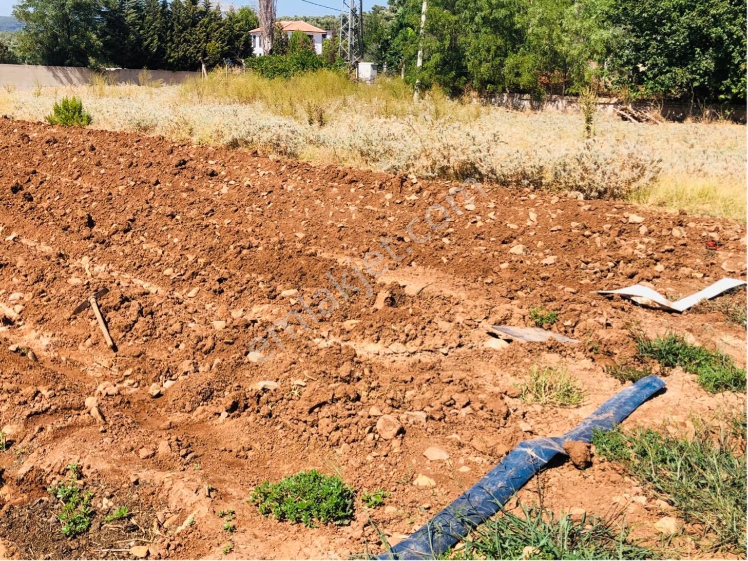 Muğla Milas Beçin Mutluca'da Muhteşem Yatırımlık Arsa!! - Görsel 17