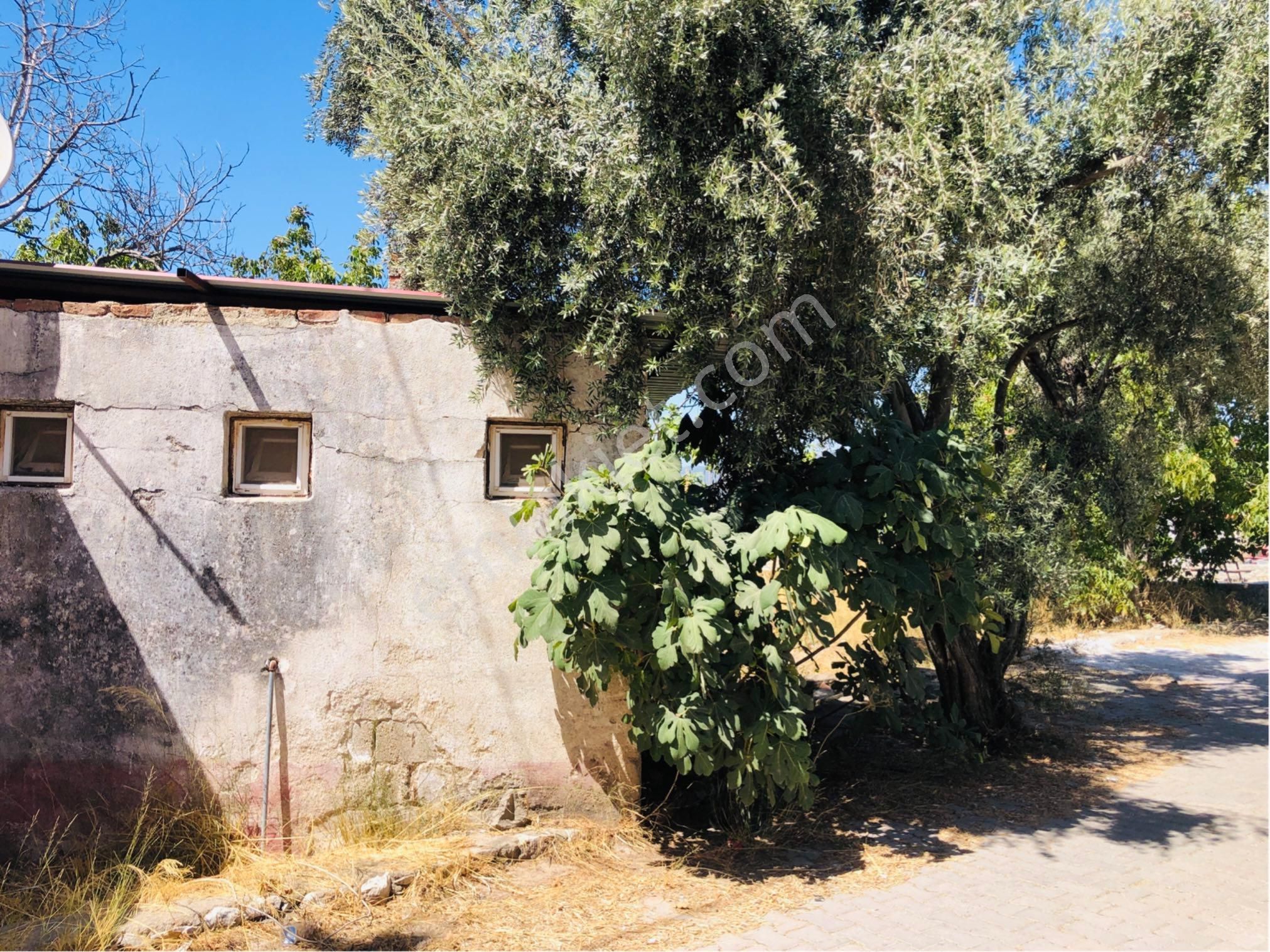 Muğla Milas Beçin Mutluca'da Yatırımlık Fırsat Arsa !!! - Görsel 7