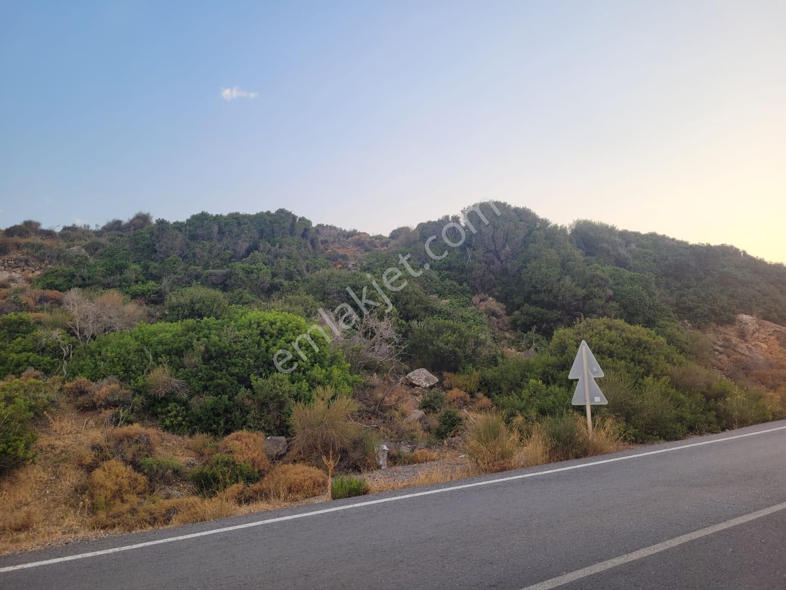 Karaburun Tepeboz Da Satılık Ful Deniz Manzaralı Tarla - Görsel 7