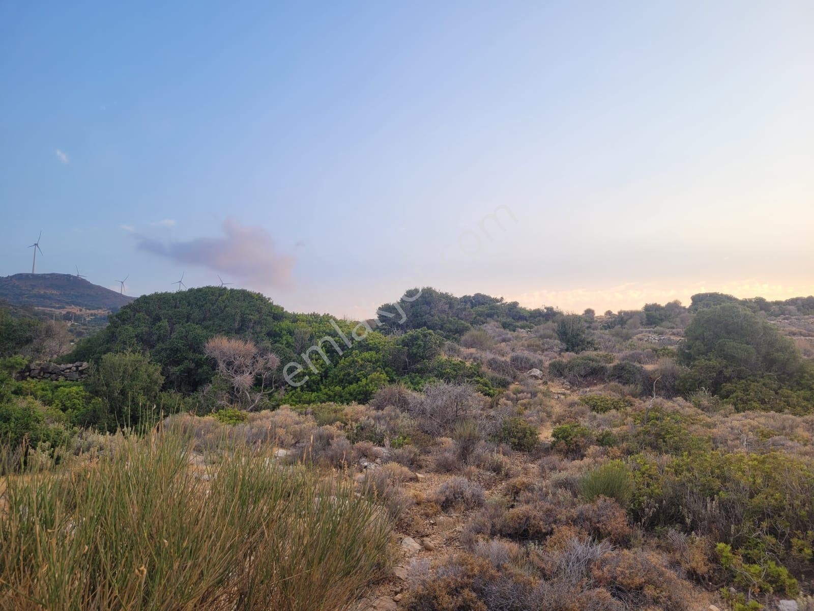 Karaburun Tepeboz Da Satılık Ful Deniz Manzaralı Tarla - Görsel 24