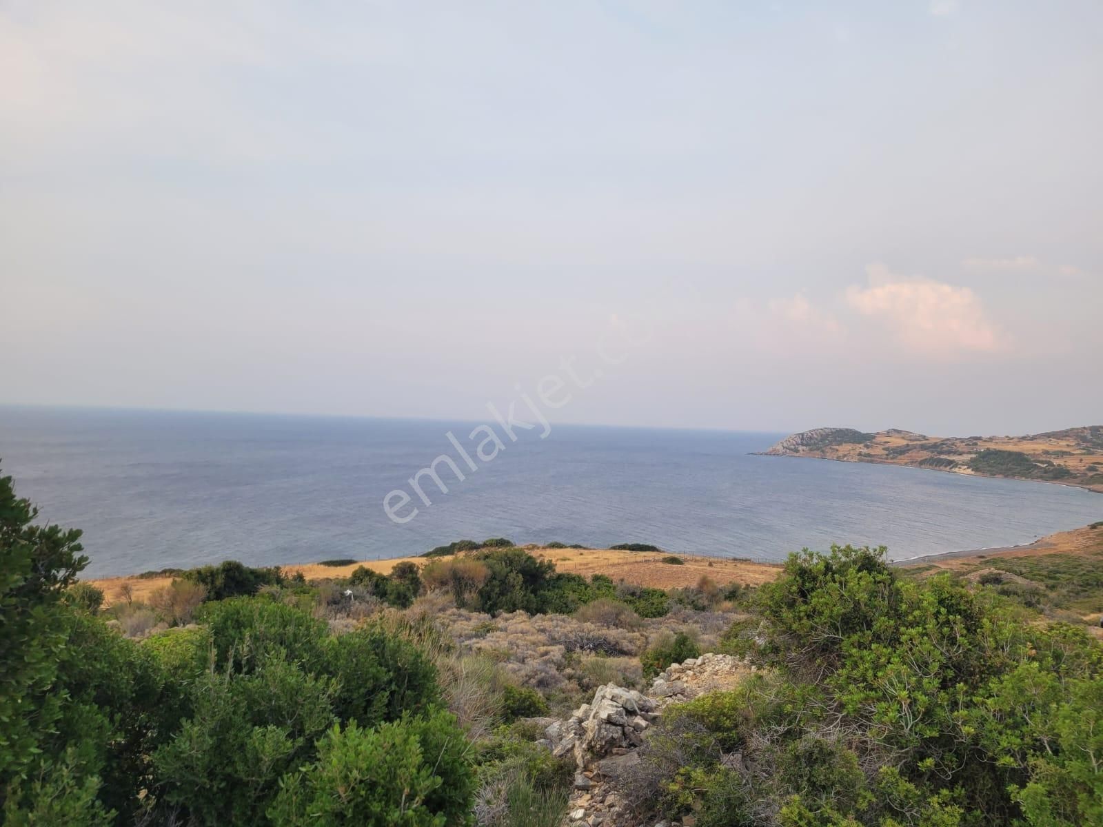 Karaburun Tepeboz Da Satılık Ful Deniz Manzaralı Tarla - Görsel 19