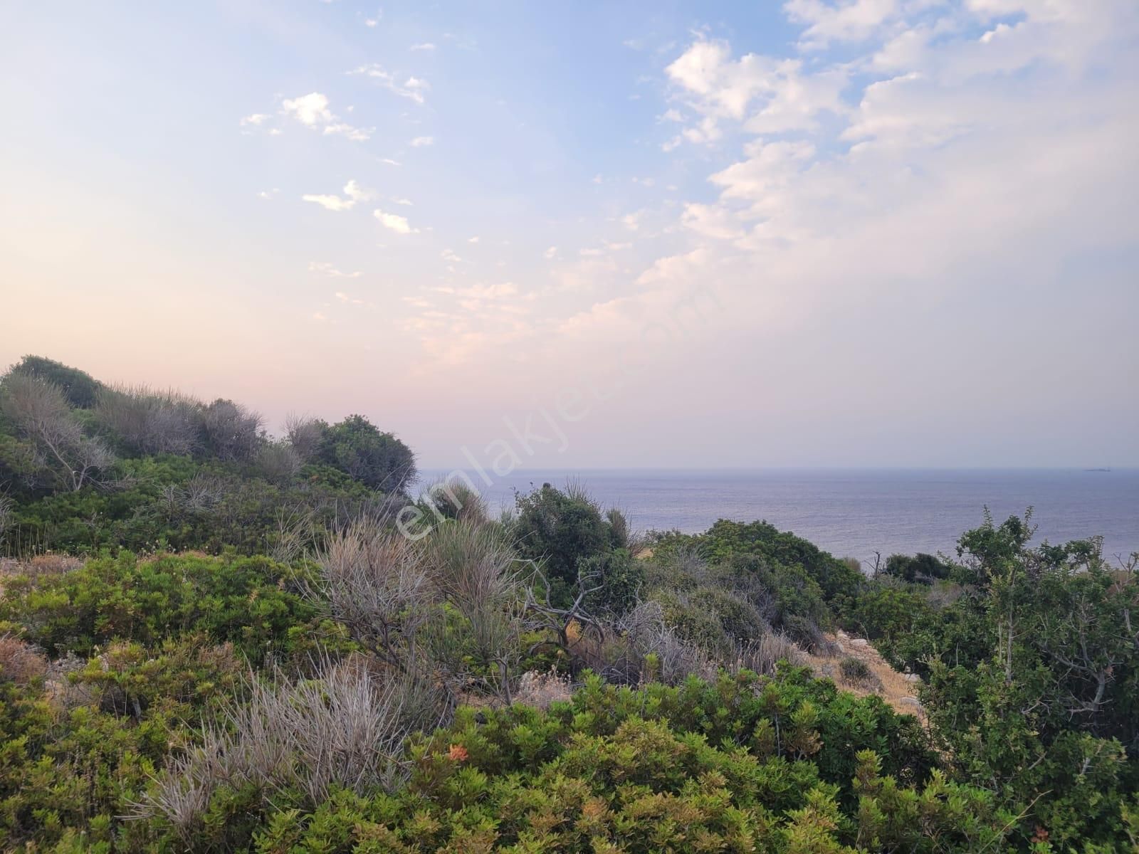 Karaburun Tepeboz Da Satılık Ful Deniz Manzaralı Tarla - Görsel 18