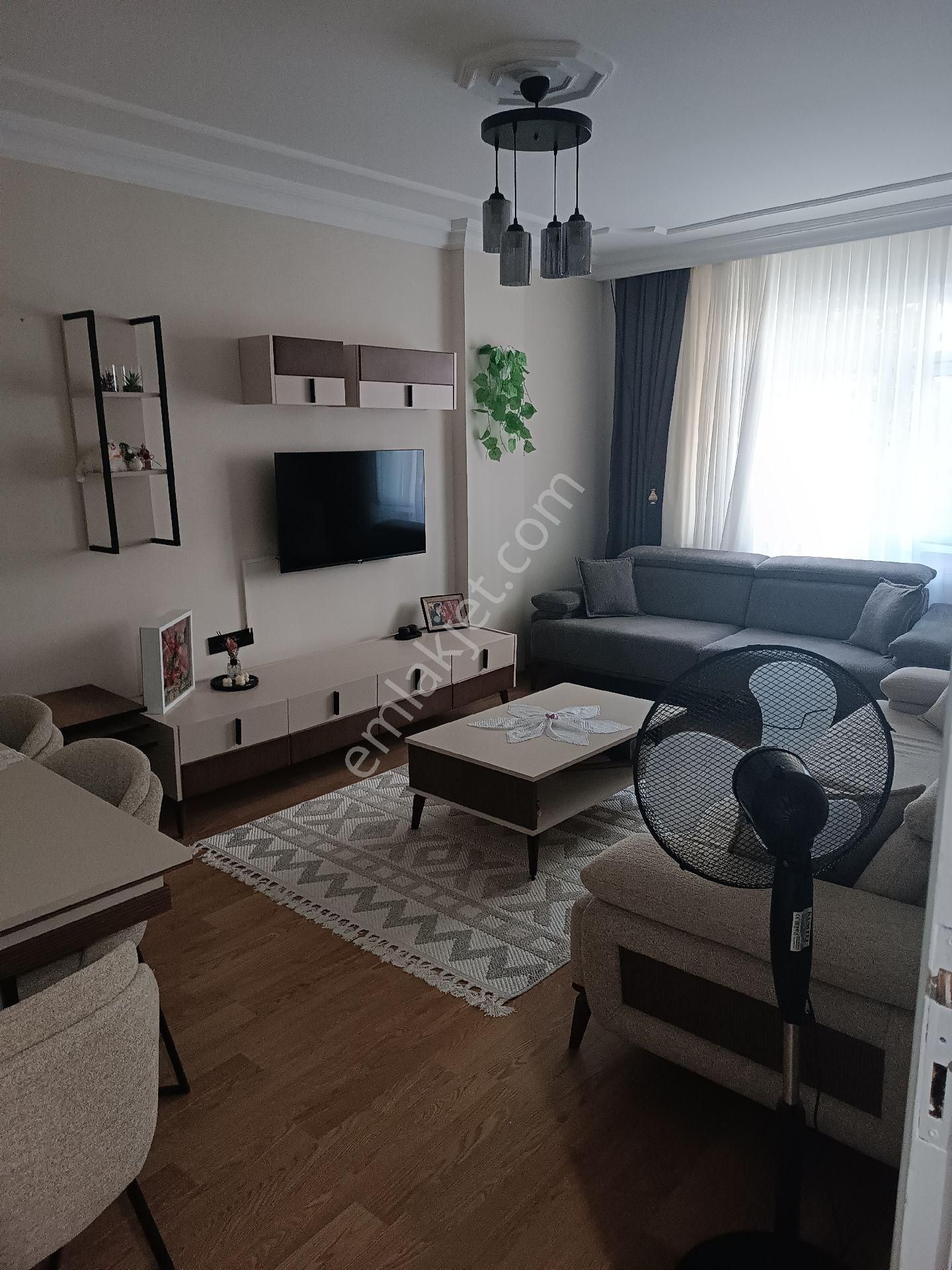 City Center Ve Belediyeye Yürüme Mesafesinde Geniş Daire