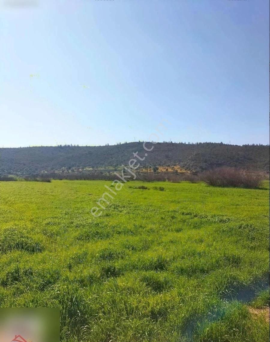 Mumcular'da Anayola 250 Metre 2200 M2 Yatırımlık Tarla - Görsel 8