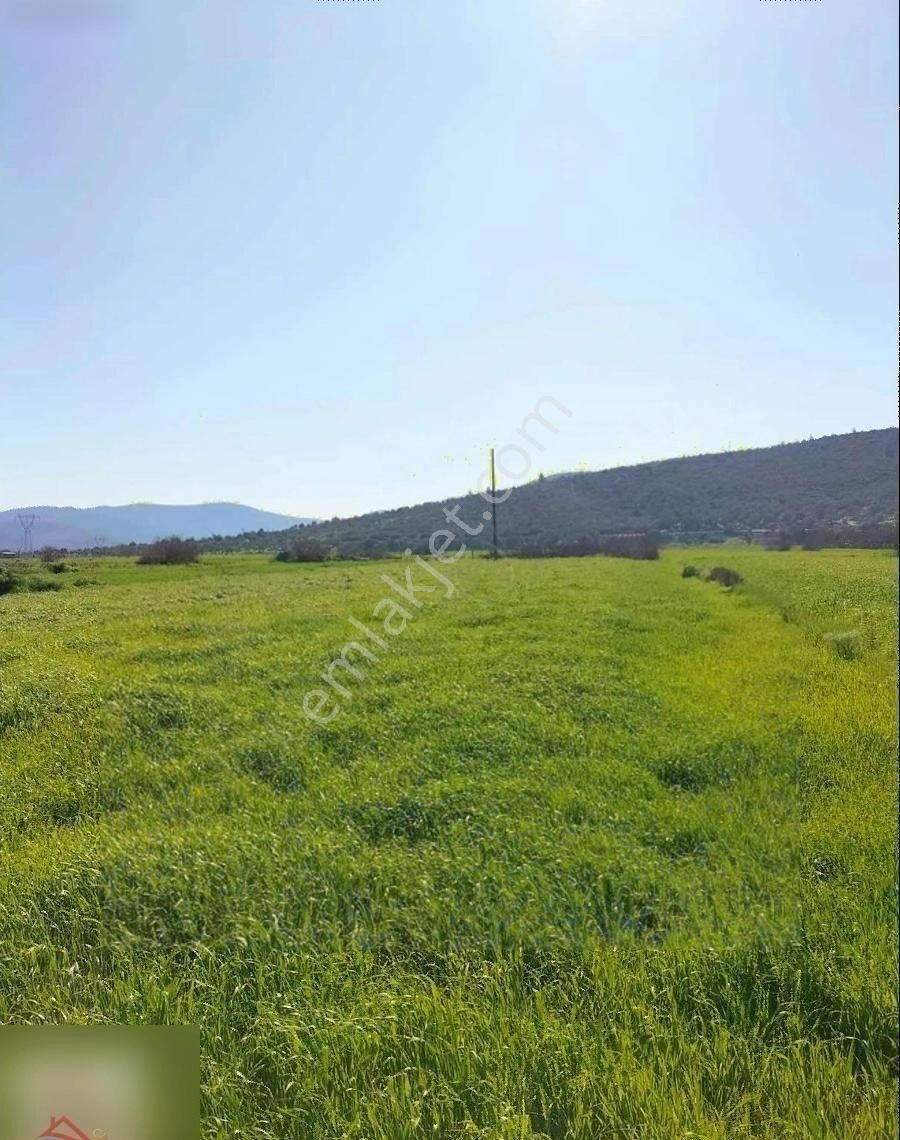 Mumcular'da Anayola 250 Metre 2200 M2 Yatırımlık Tarla - Görsel 2