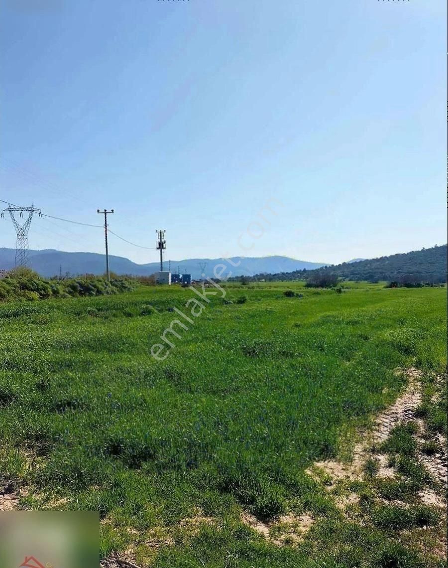 Mumcular'da Anayola 250 Metre 2200 M2 Yatırımlık Tarla - Görsel 9