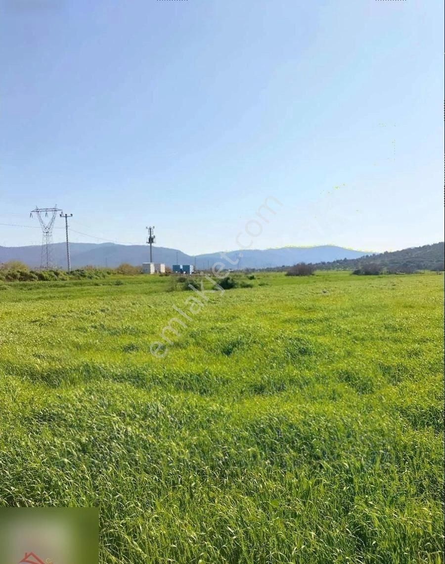 Mumcular'da Anayola 250 Metre 2200 M2 Yatırımlık Tarla - Görsel 5