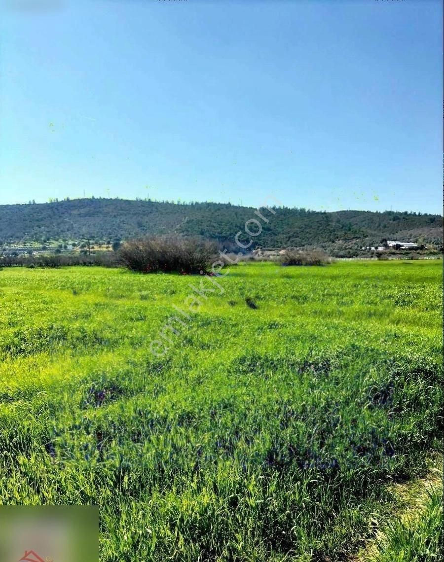 Mumcular'da Anayola 250 Metre 2200 M2 Yatırımlık Tarla - Görsel 3