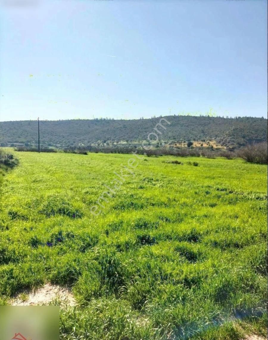 Mumcular'da Anayola 250 Metre 2200 M2 Yatırımlık Tarla - Görsel 7