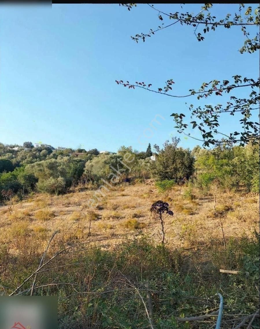 Fırsat!!bodrum Mumcular 'da İmarlı Arsa - Görsel 10