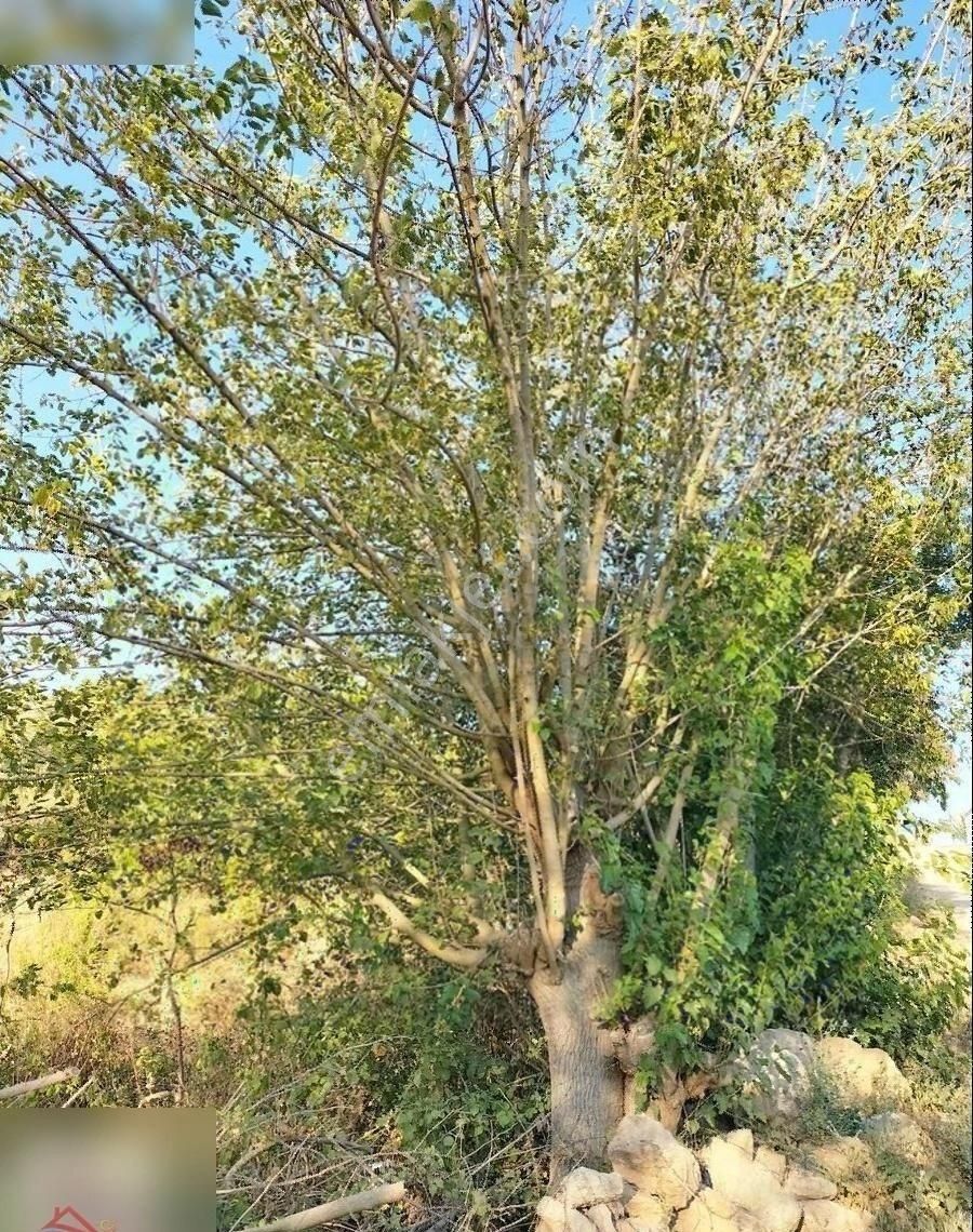 Fırsat!!bodrum Mumcular 'da İmarlı Arsa - Görsel 4