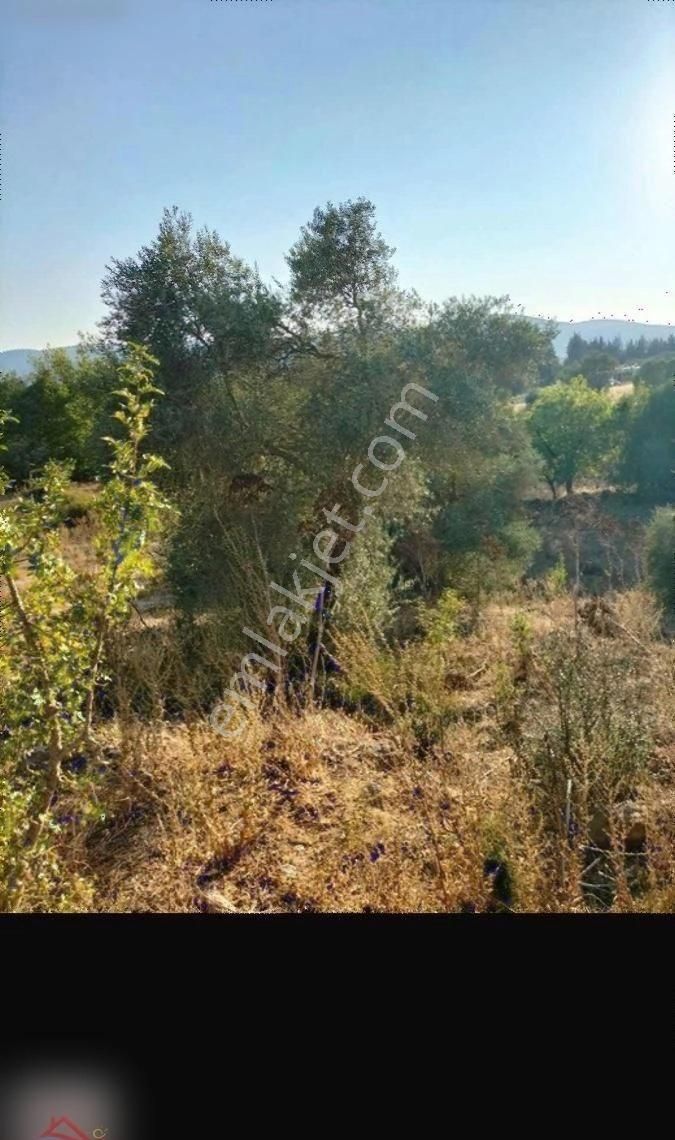 Fırsat!!bodrum Mumcular 'da İmarlı Arsa - Görsel 11