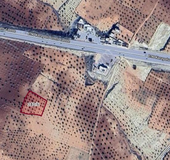 Uluyatır - Nizip 'de Satılık E90 Karayoluna 150 Metre Zeytin Ve Fıstıklık