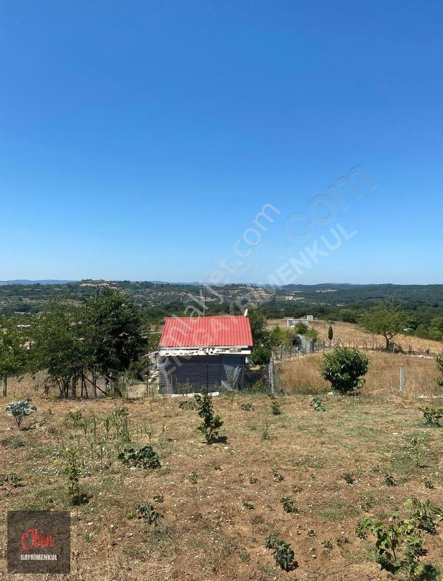 Kandıra Alaybey'de, 437m2 Bahçe İçerisinde, Müstakil Ev