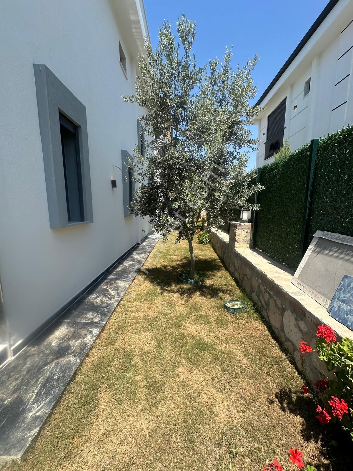 Didim De Kelepir Tam Müstakil Villa - Görsel 11