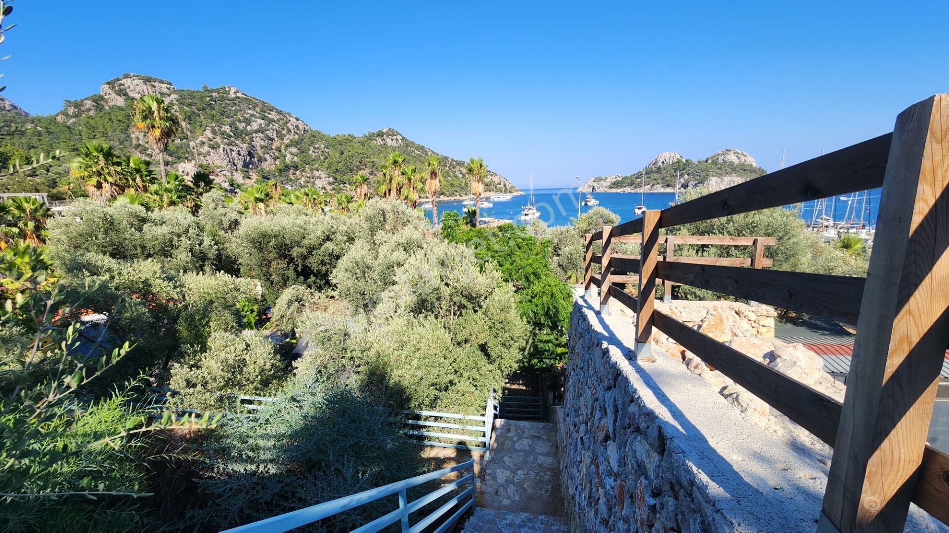 Fi Harita Gayrimenkul Çiftlik Koyu Denize Sıfır Yatırım Fırsatı - Görsel 4