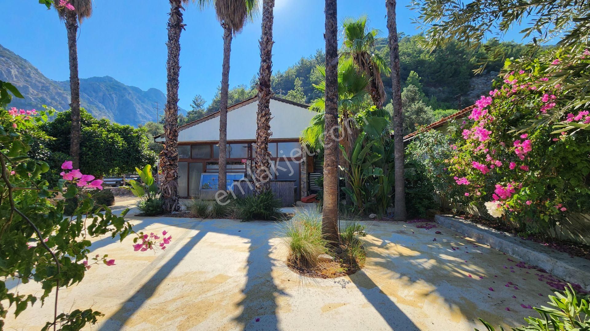 Fi Harita Gayrimenkul Çiftlik Koyu Denize Sıfır Yatırım Fırsatı - Görsel 2