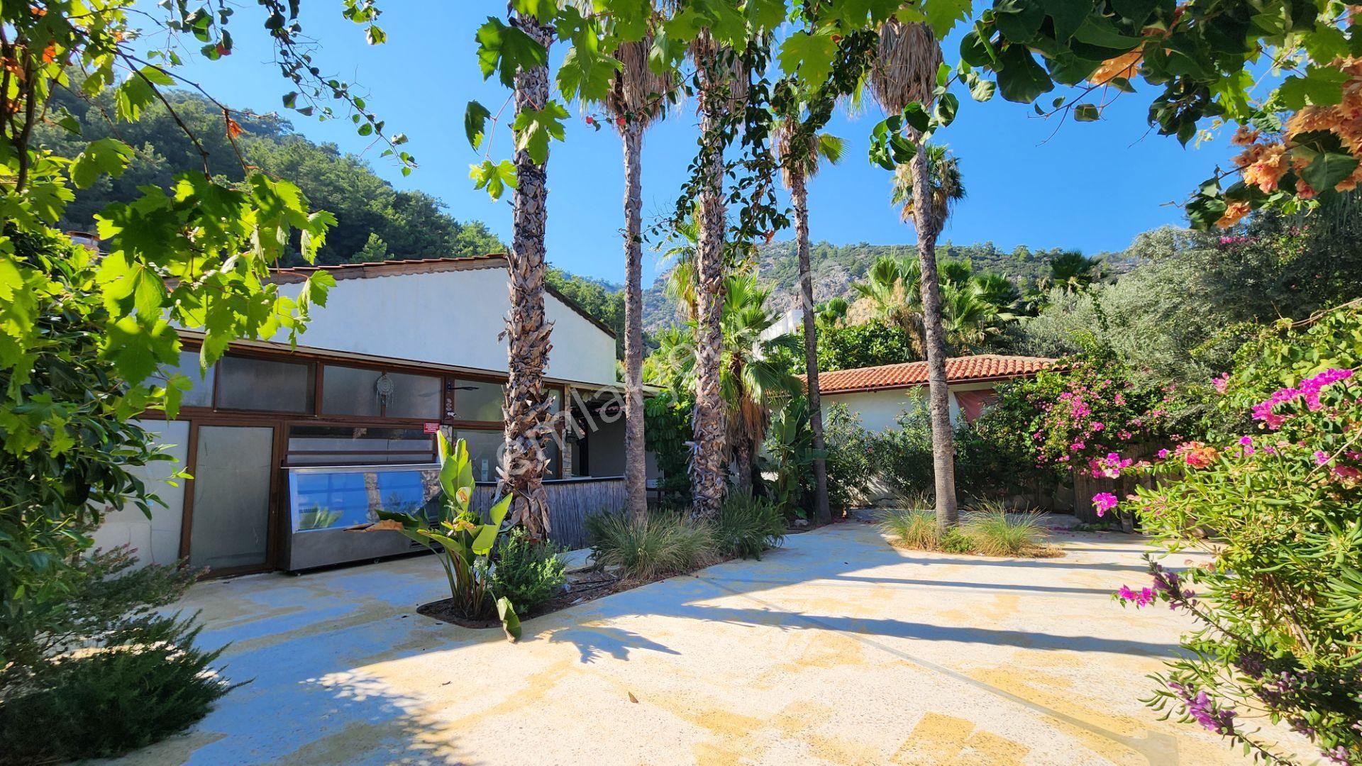 Fi Harita Gayrimenkul Çiftlik Koyu Denize Sıfır Yatırım Fırsatı - Görsel 3