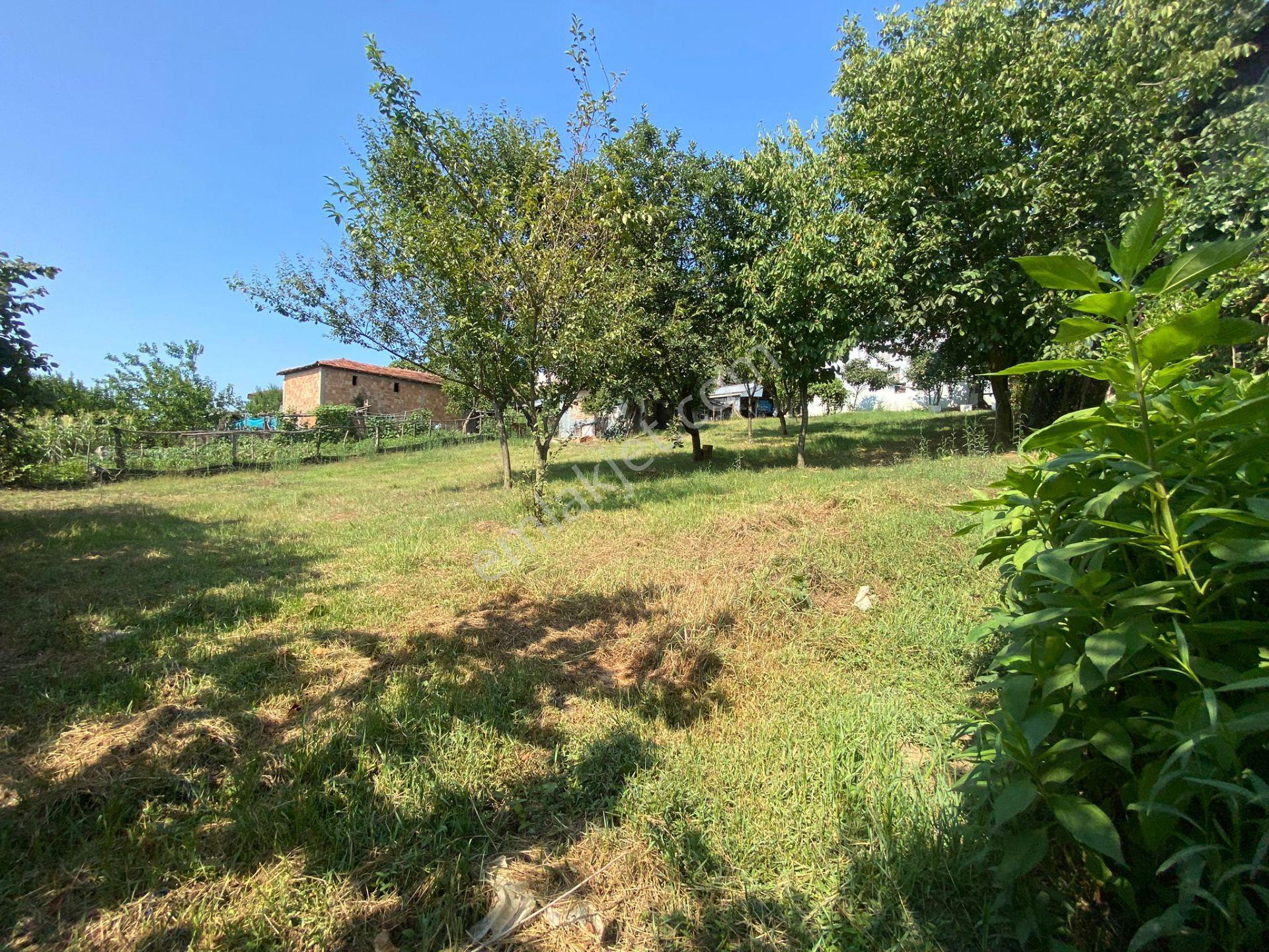Ferizli Bakırlı'da Köy Evi + Bahçesi + Arkasında Fındıklık - Görsel 26