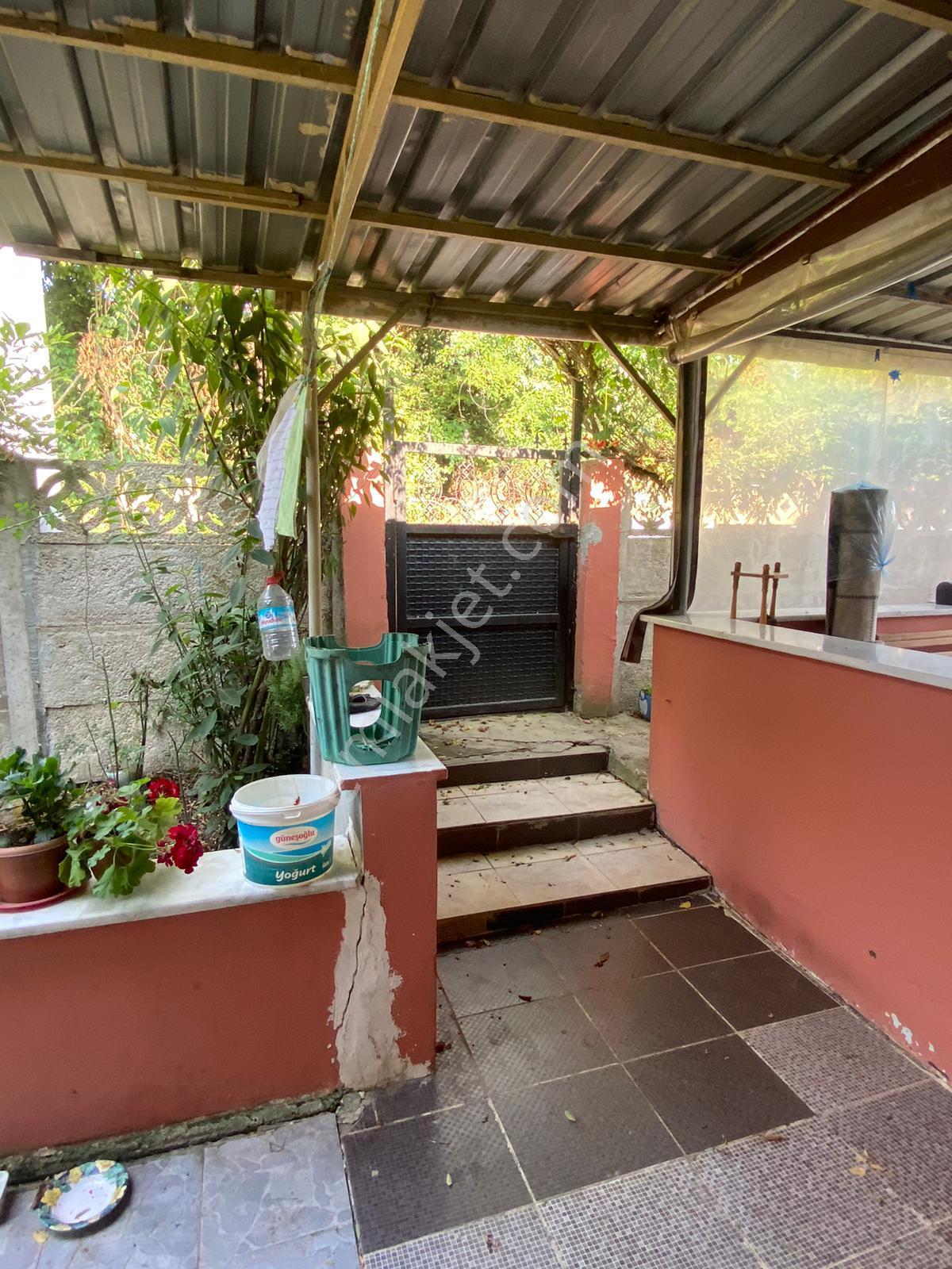 Ferizli Bakırlı'da Köy Evi + Bahçesi + Arkasında Fındıklık - Görsel 5