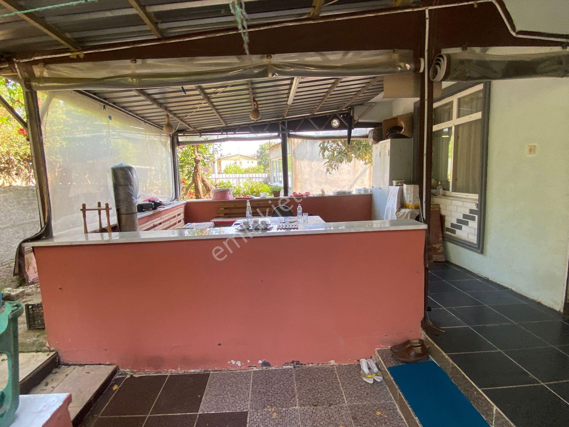 Ferizli Bakırlı'da Köy Evi + Bahçesi + Arkasında Fındıklık - Görsel 6