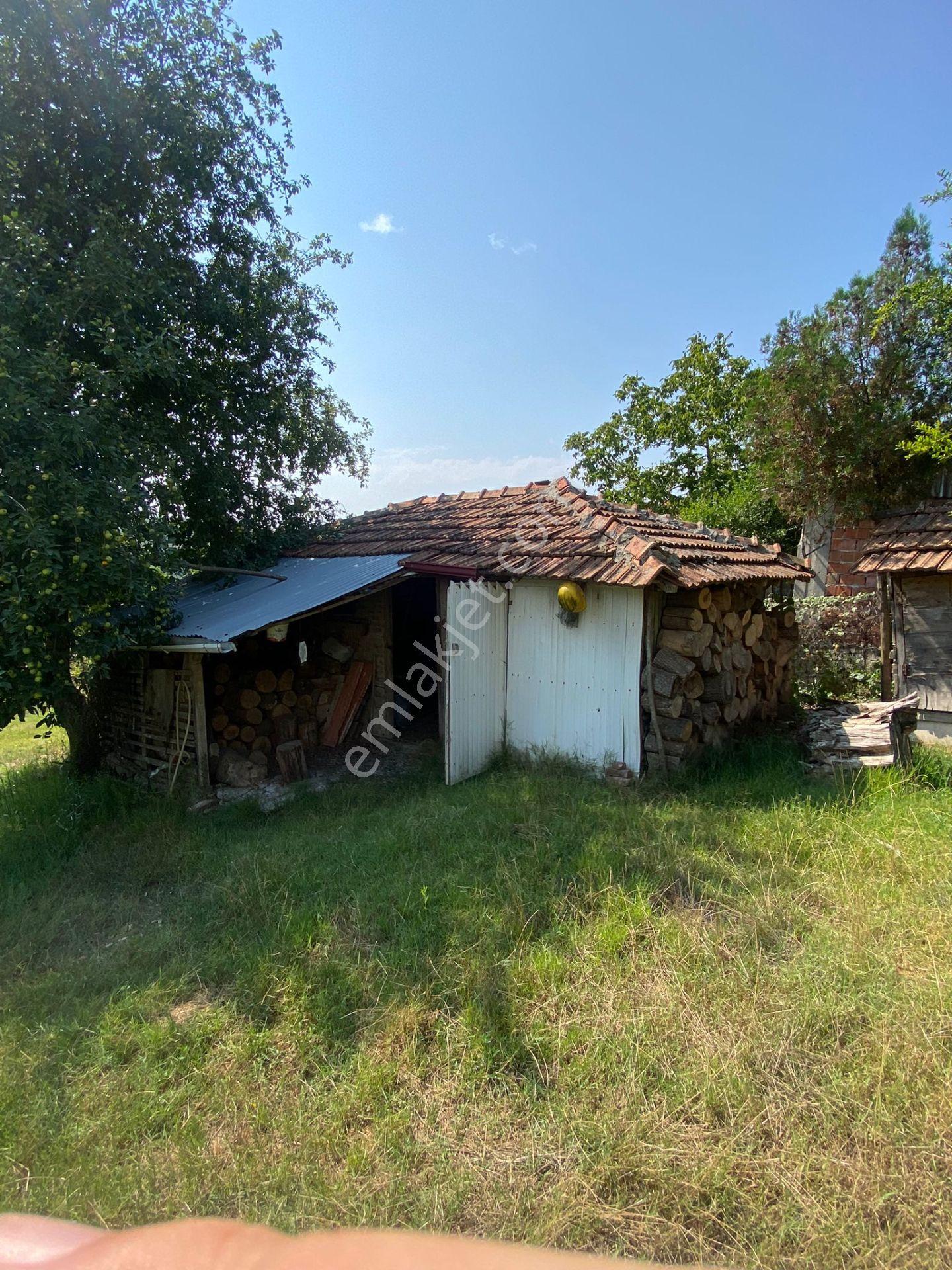 Ferizli Bakırlı'da Köy Evi + Bahçesi + Arkasında Fındıklık - Görsel 24
