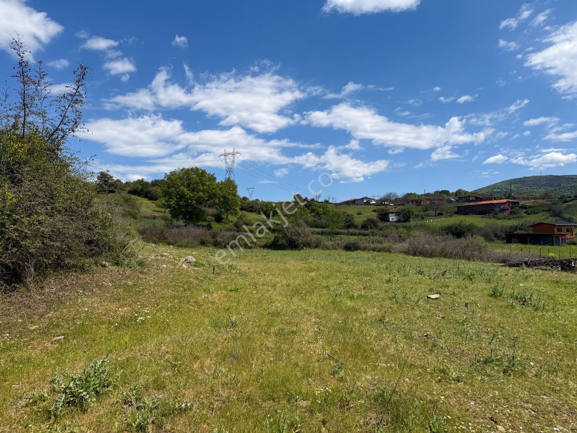 Çanakkale Yenice Boynanlar'da 156 M² İmara Sınır Tarla - Görsel 8