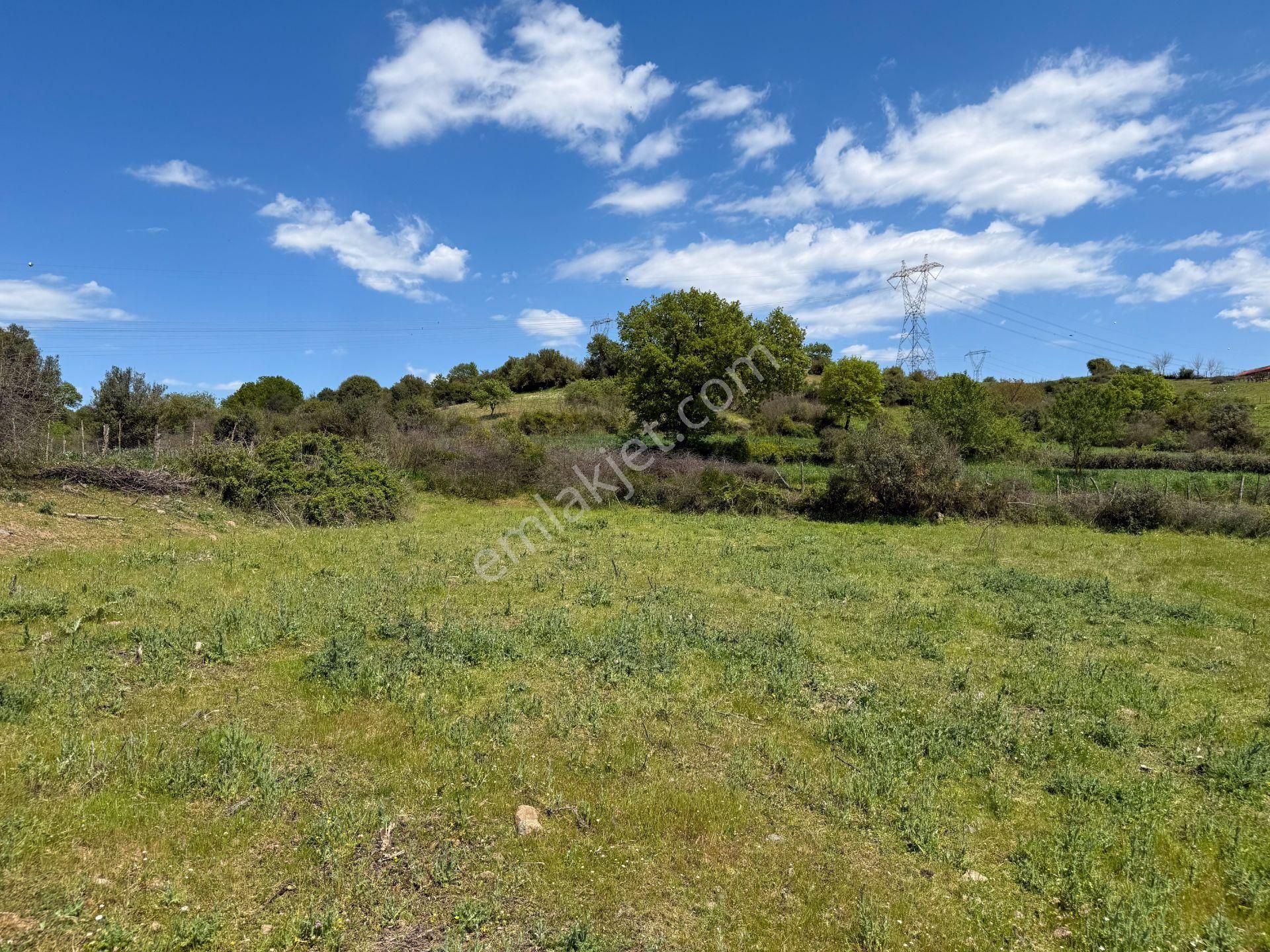 Çanakkale Yenice Boynanlar'da 156 M² İmara Sınır Tarla - Görsel 11