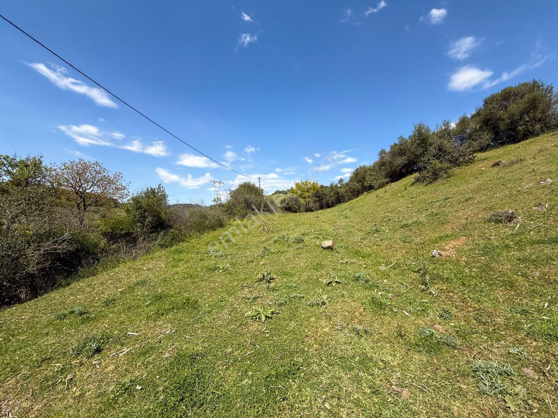 Çanakkale Yenice Boynanlar'da 156 M² İmara Sınır Tarla - Görsel 23