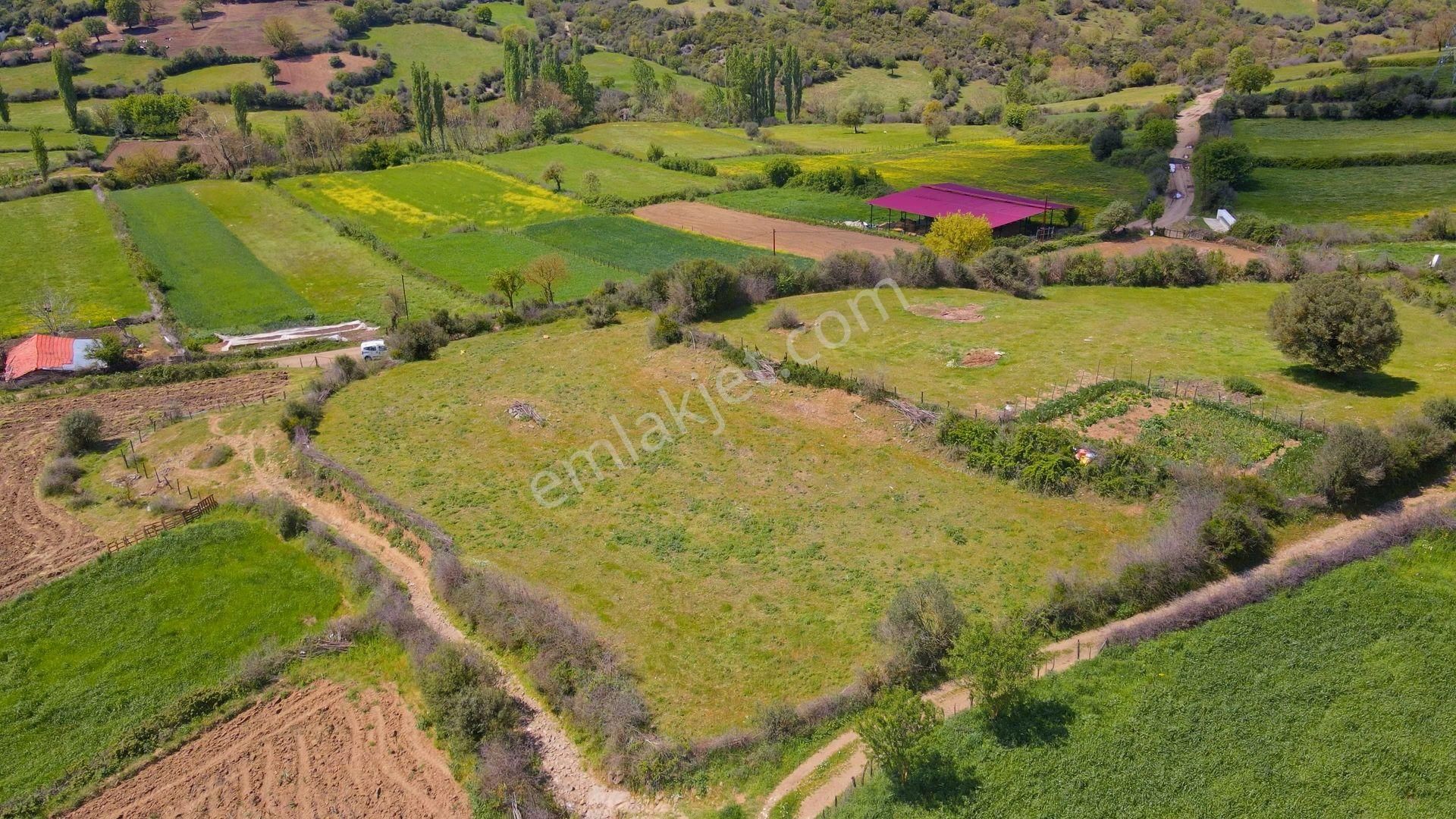 Çanakkale Yenice Boynanlar'da 156 M² İmara Sınır Tarla - Görsel 19