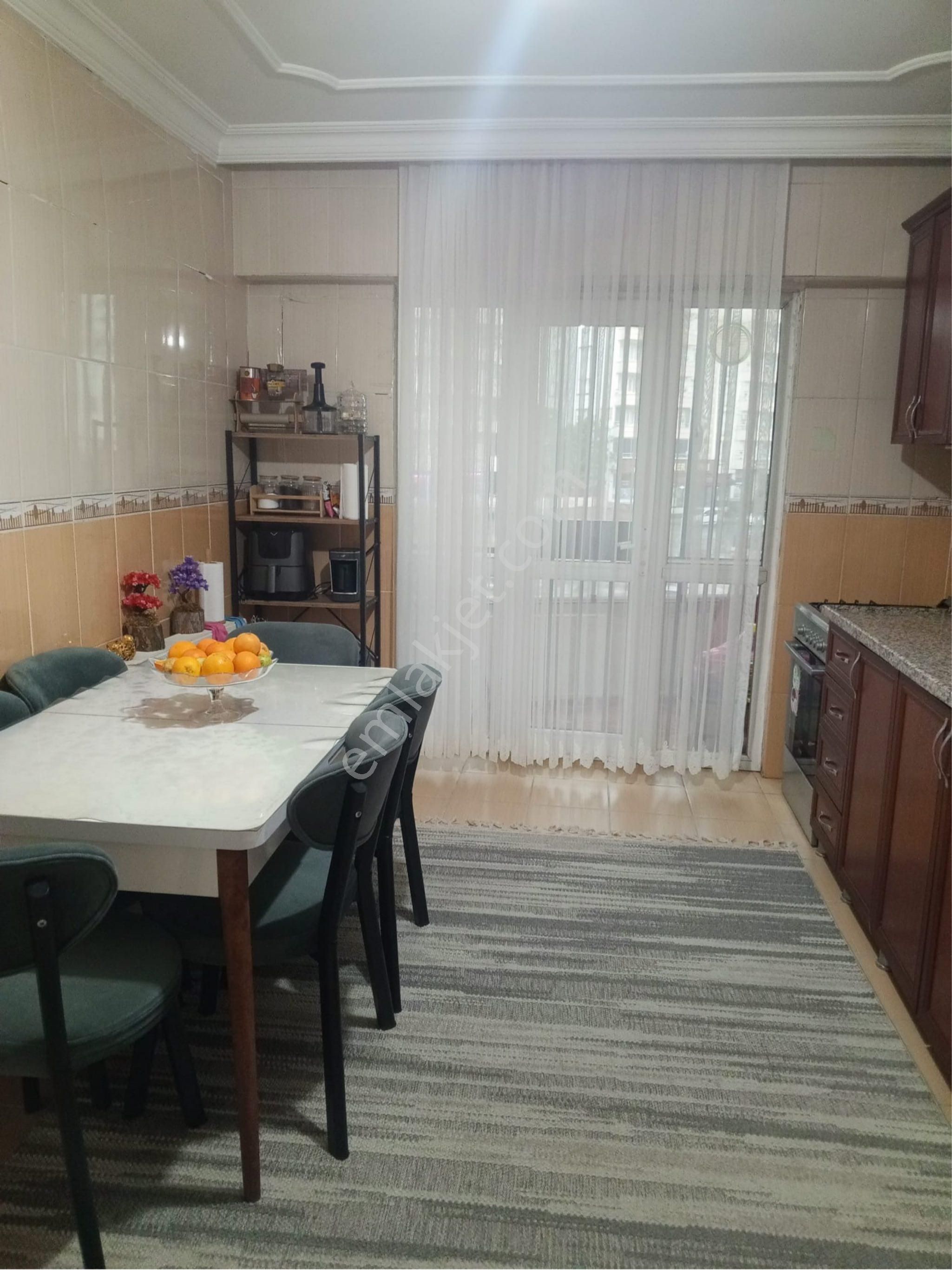 Yeni Hal Civarı
