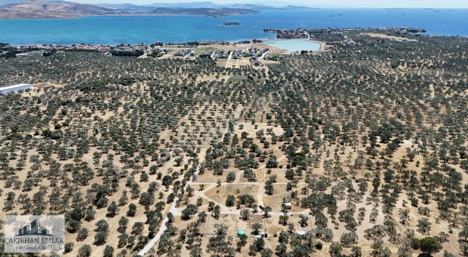 Şakran Girişi Yatırım İçin Kaçırılmayacak Lokasyon Satılık Zeyti