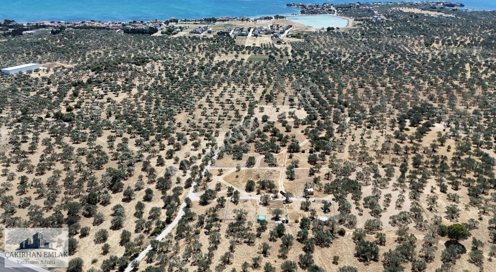 Şakran Girişi Yatırım İçin Kaçırılmayacak Lokasyon Satılık Zeyti - Görsel 4