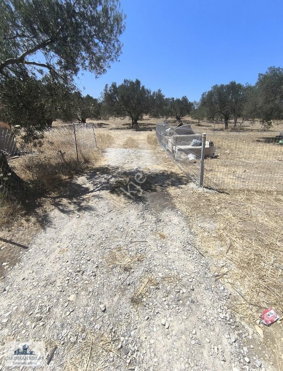Şakran Girişi Yatırım İçin Kaçırılmayacak Lokasyon Satılık Zeyti - Görsel 3