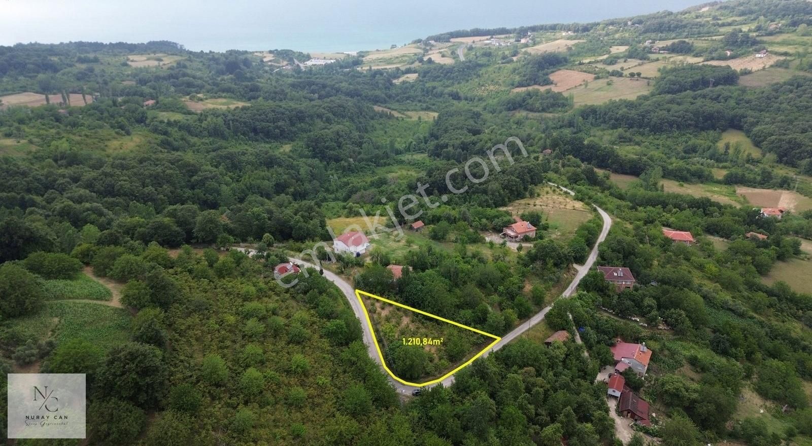 Sinop Erfelek Balıfakı Köyü Şerefiye Köy.arasında Tarla